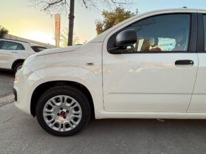 Fiat Panda 1.2 Easy Benzina