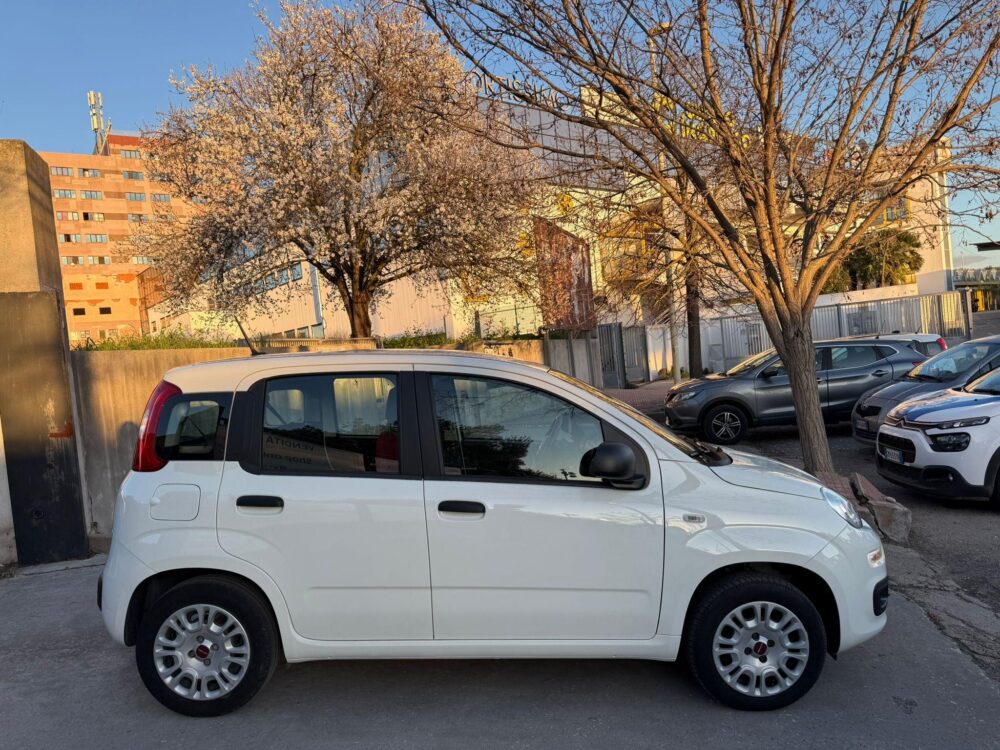 Fiat Panda 1.2 Easy Benzina - immagine 9