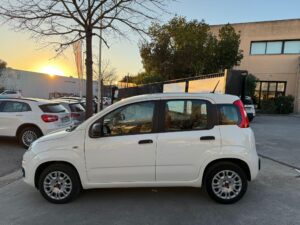 Fiat Panda 1.2 Easy Benzina