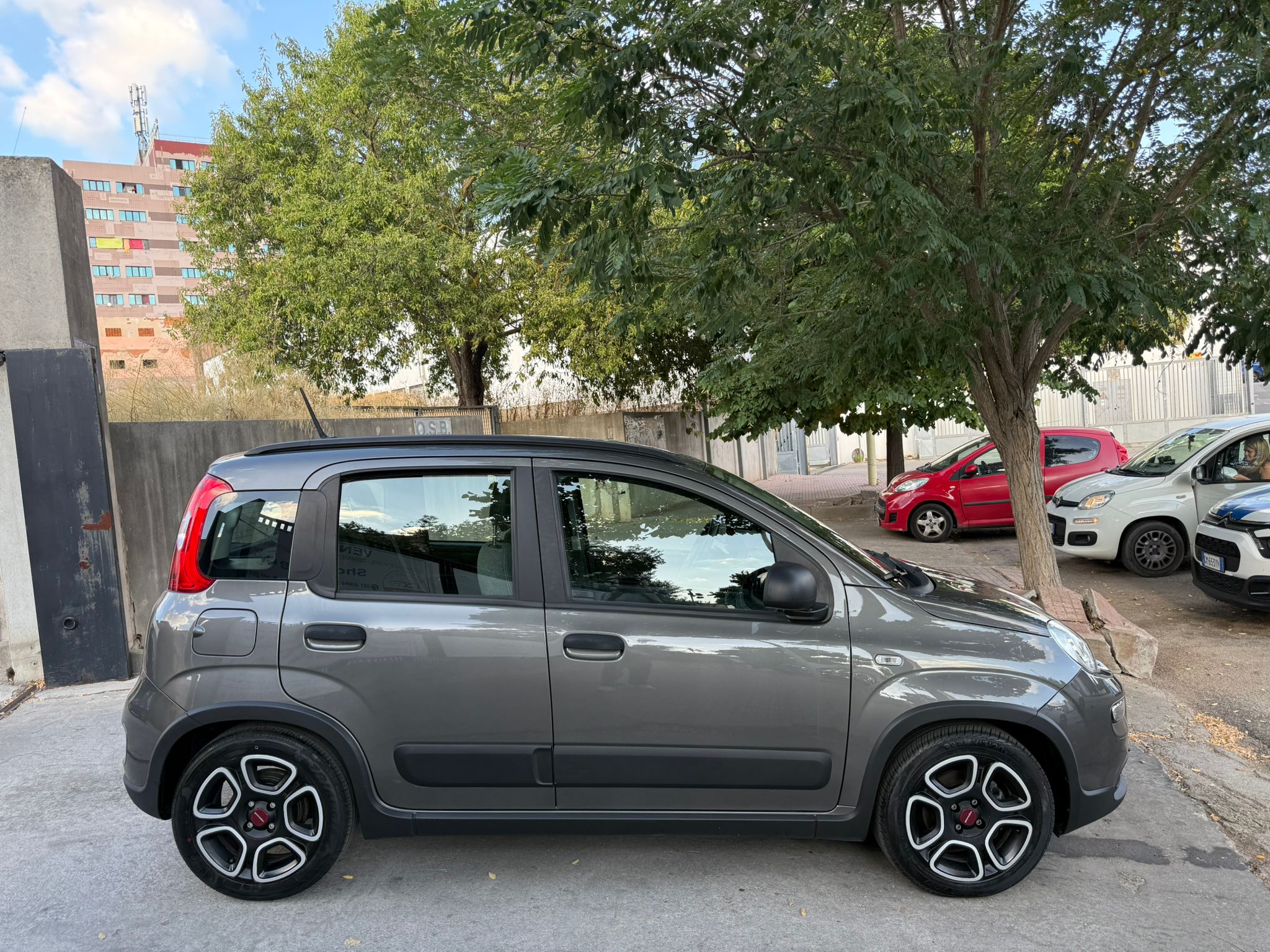 Fiat Panda - immagine 4