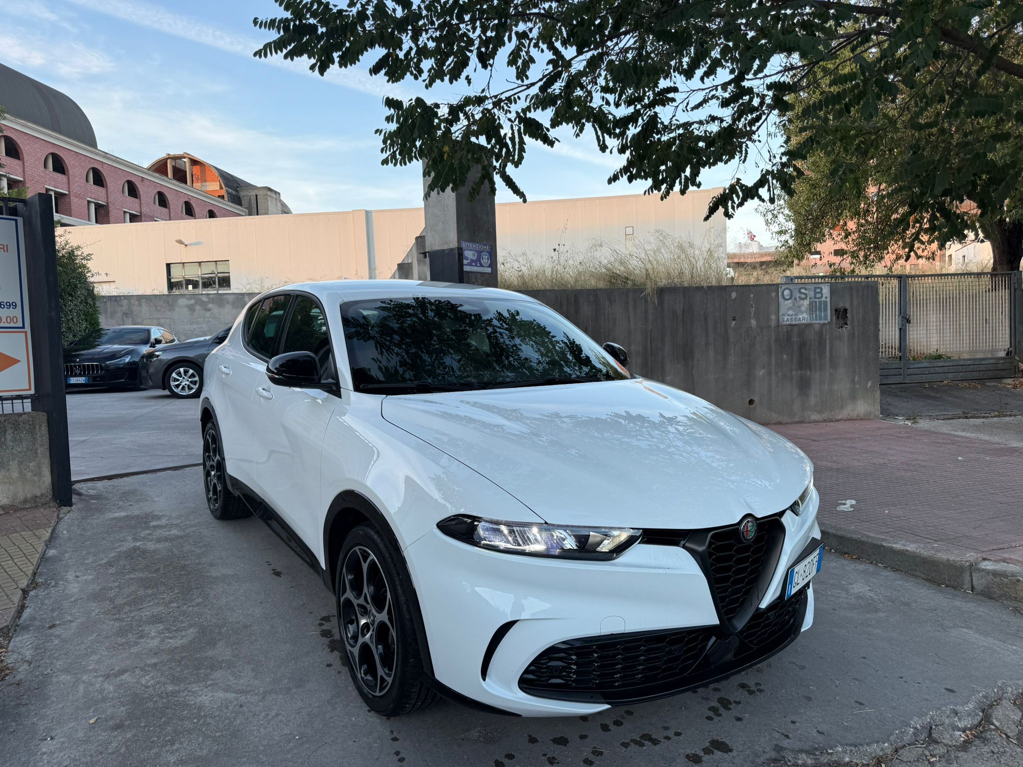 Alfa Romeo Tonale - immagine 3