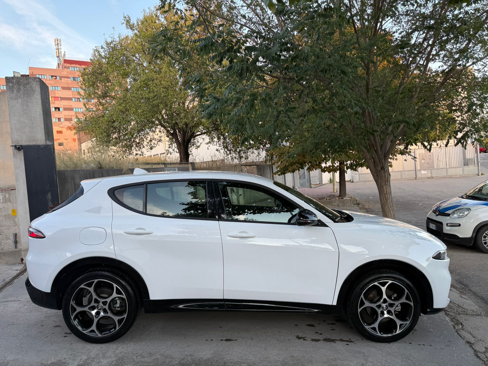 Alfa Romeo Tonale - immagine 4