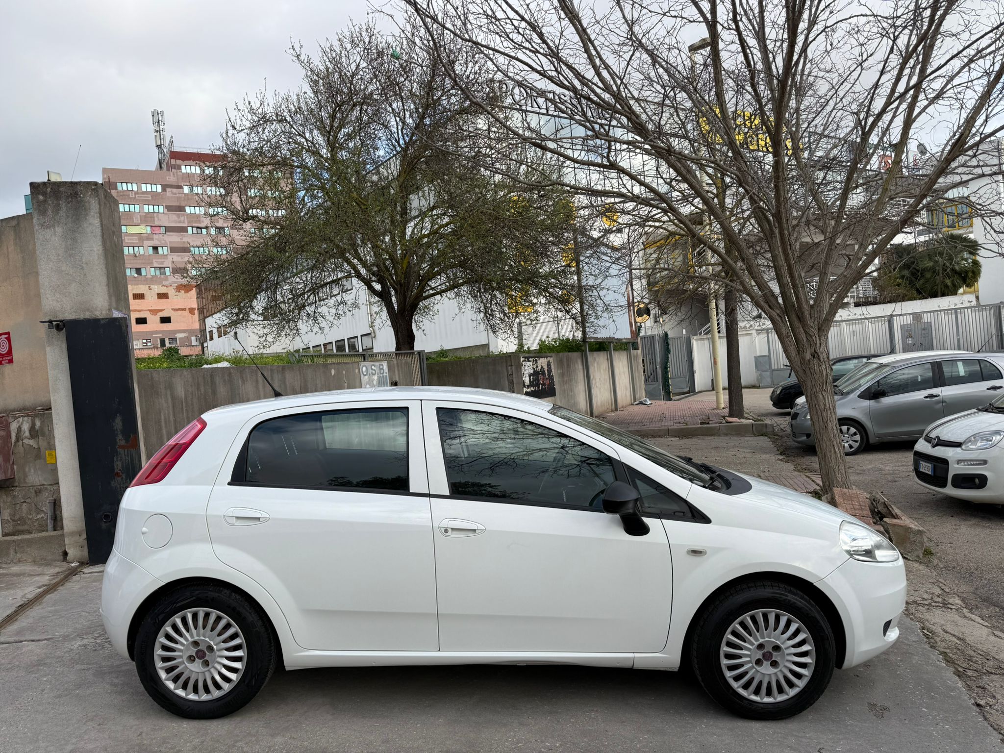 Fiat Punto - immagine 4