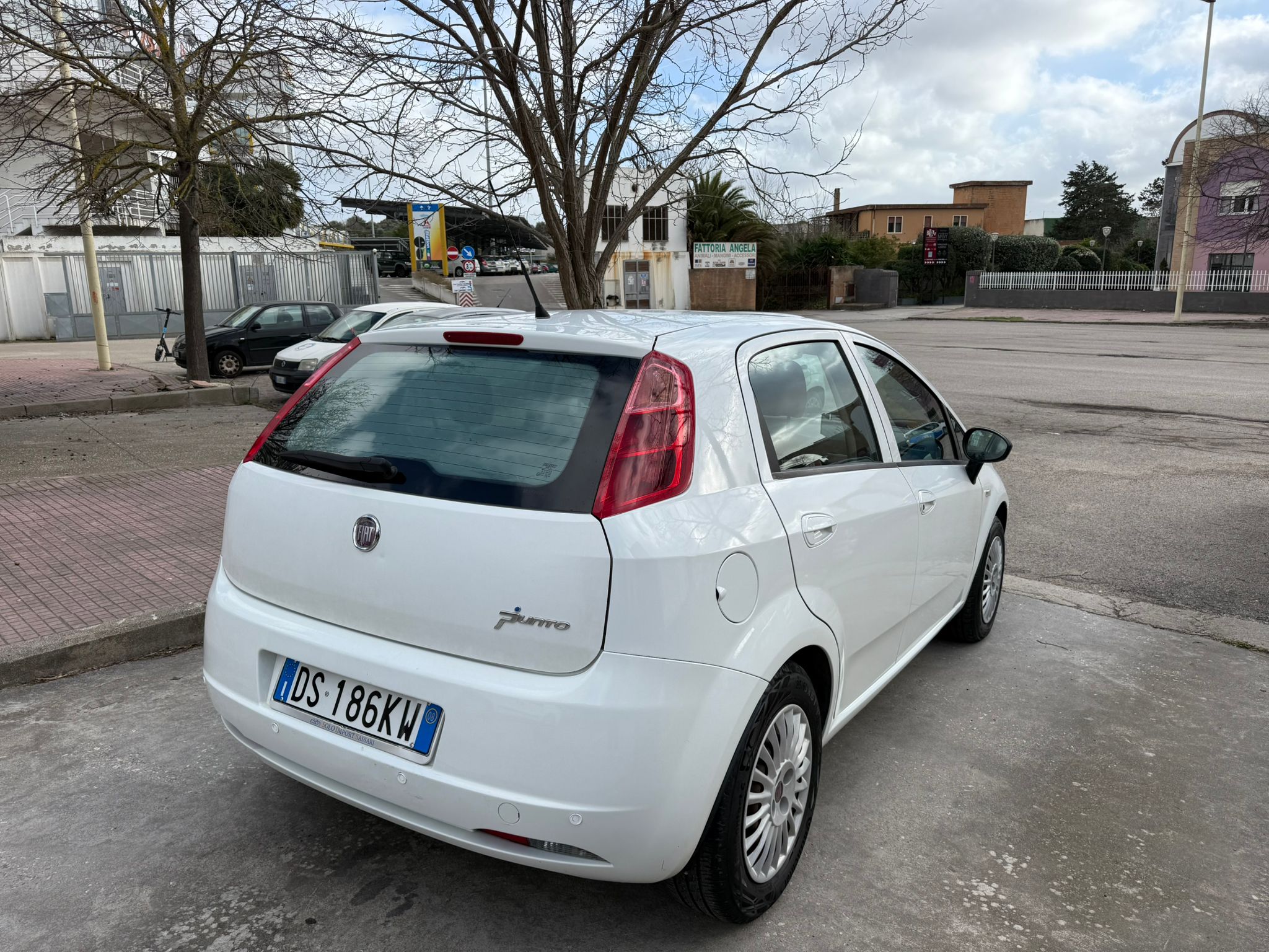 Fiat Punto - immagine 5
