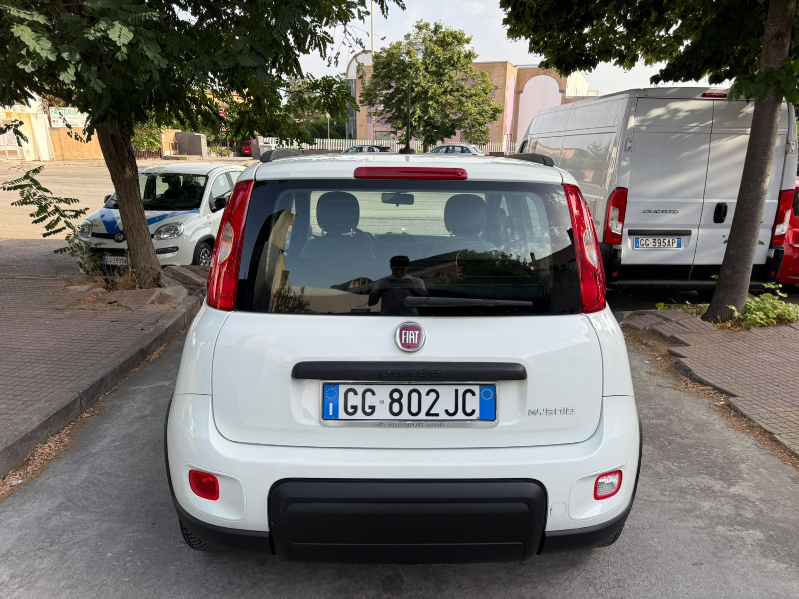 Fiat Panda Hybrid - immagine 6