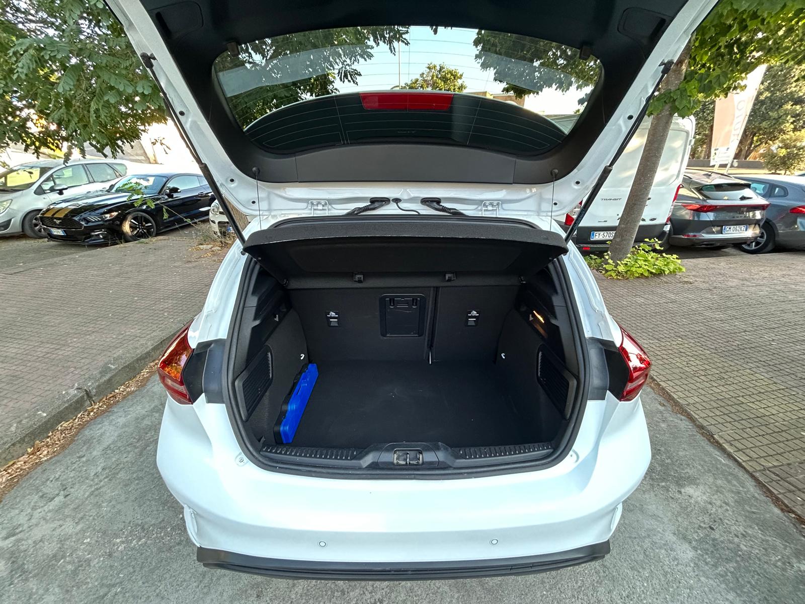FORD FOCUS ST-LINE - immagine 12